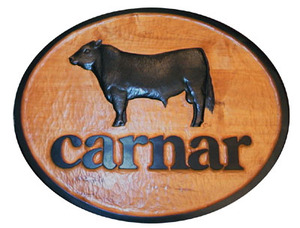 Logo_carnar_2